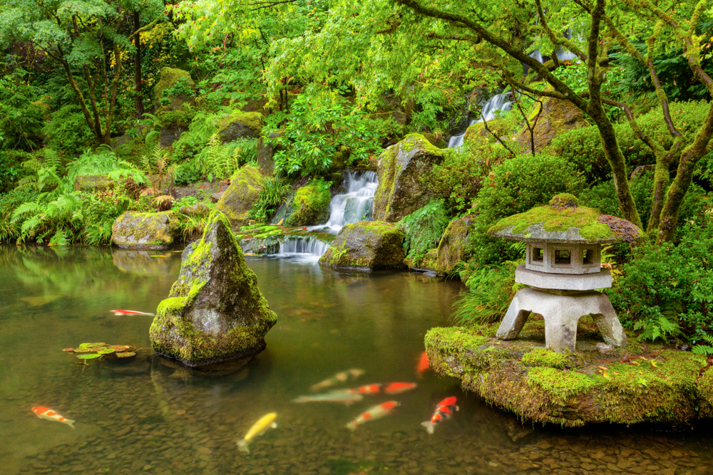 jardin japonais