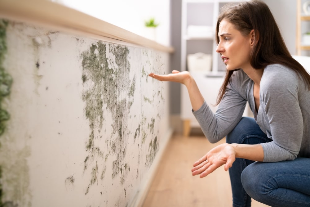 lutter contre l’humidité dans votre maison